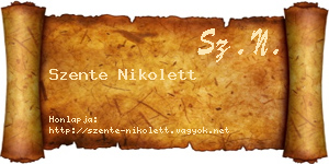 Szente Nikolett névjegykártya